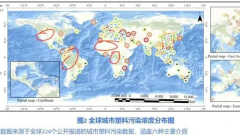 活动回顾 | 2026年博士联盟线上沙龙第1期 科学赋能政策:城市塑料污染的多维解析与治理路径
